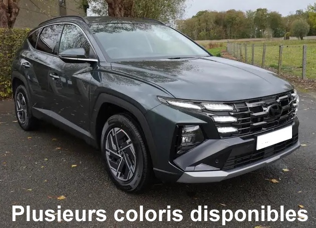 Hyundai TUCSON TECHNO 1.6 T-GDI HEV 239 CH 2WD